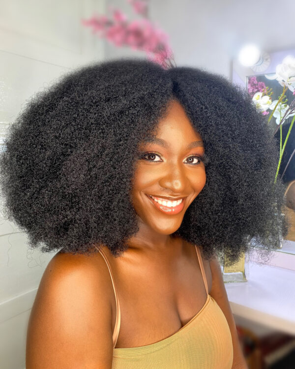 4C KINKY WIG | AFROCENTRIC HAIR | ALL THINGS SAVVY