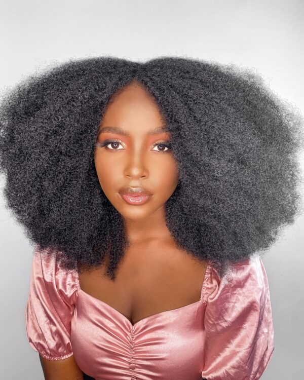4C Kinky Wig Ultra | Afrocentric Wig | Natural Hair Wig