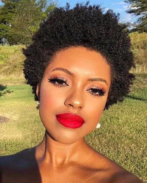 70 Stunning Afro Hairstyles for 2023 with pictures  Sunika Magazine